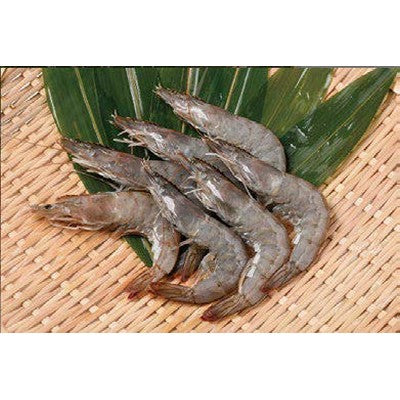 (Co., Ltd.) Nissui-White shrimp 30/40 (about 15-20 pieces, average 16cm)-500g/piece